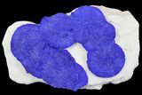Blue Azurite Sun Cluster on Siltstone - Australia #142798-1